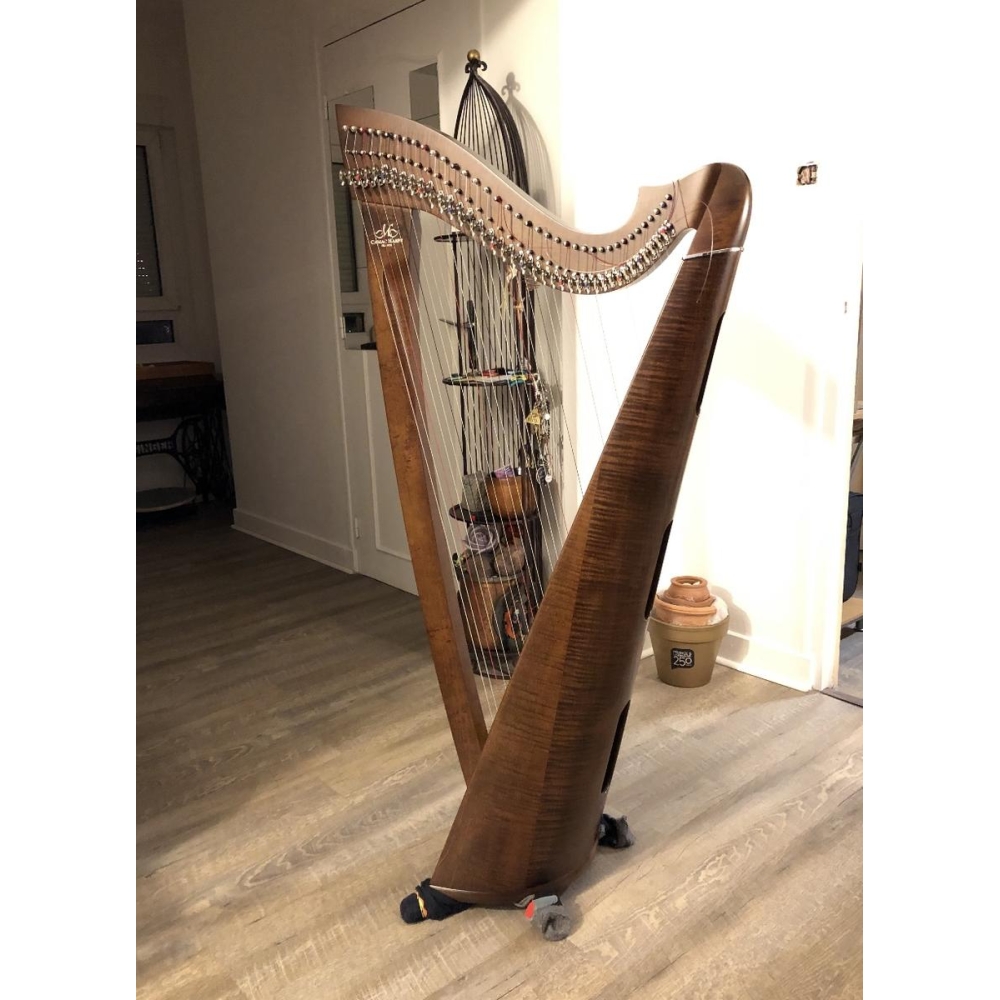 Camac Harpe finition Noyer