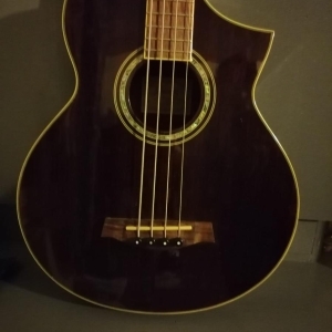 Ibanez EWB20WNE - basse électro-acoustique