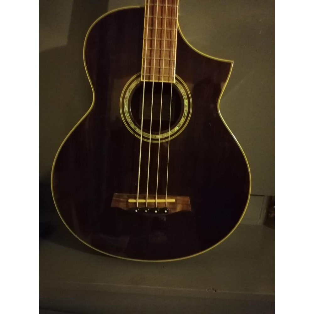 Ibanez EWB20WNE - basse électro-acoustique