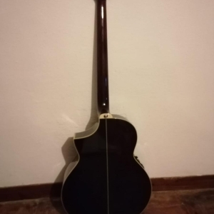 Ibanez EWB20WNE - basse électro-acoustique