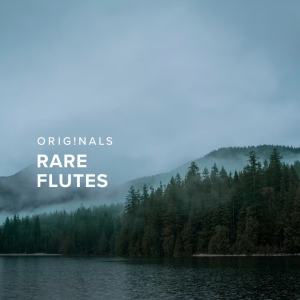 Spitfire Audio Offre Education Originals Rare Flutes