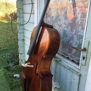 Violoncelle