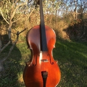 Violoncelle