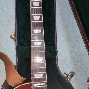 FGN type Les Paul