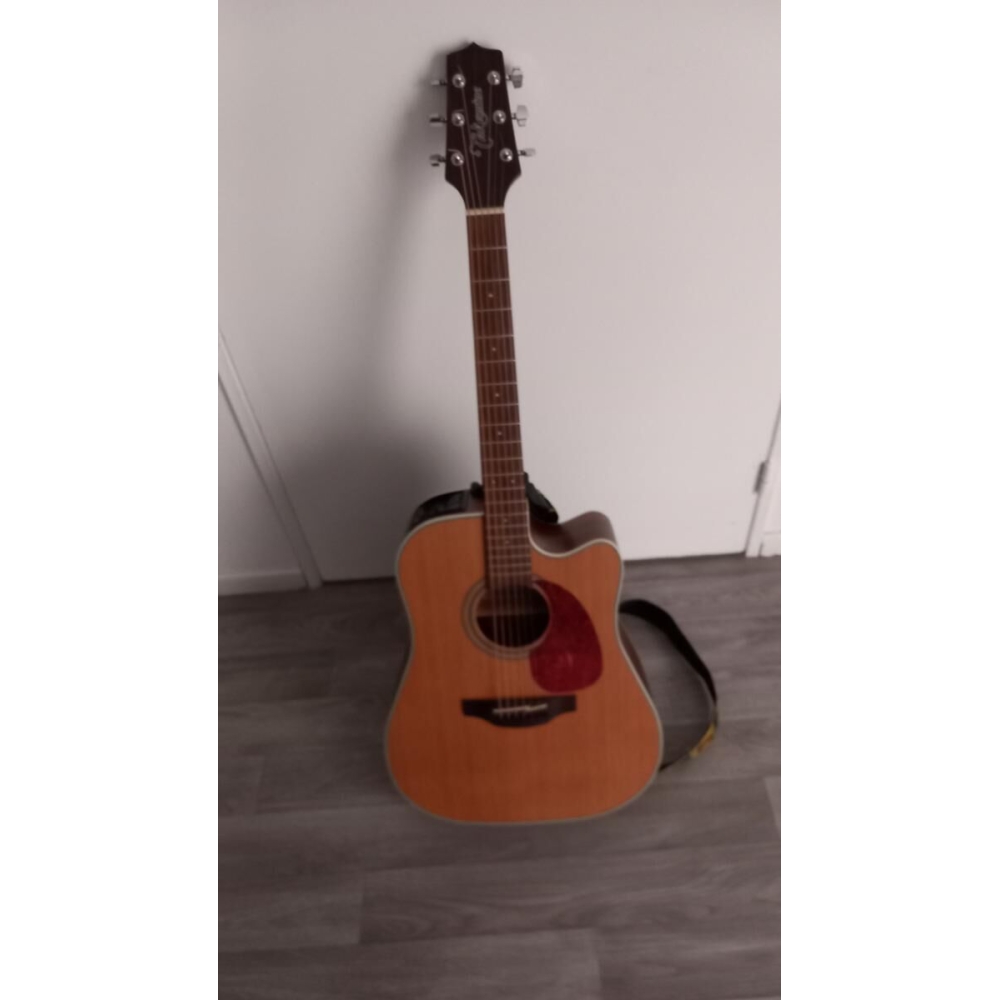 Takamine GD20CE NS