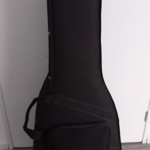 Takamine GD20CE NS