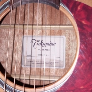 Takamine GD20CE NS