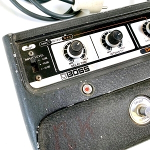 Boss DM-1 Delay Machine