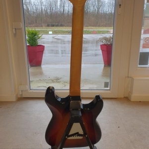 Eagle guitare modèle Gaucher