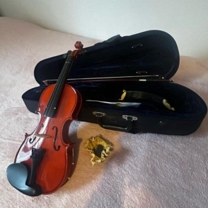 Violon taille 1/4