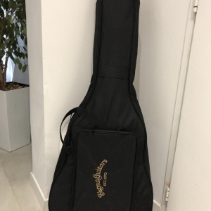 Sigma DM12-1 ST - Guitare 12 cordes