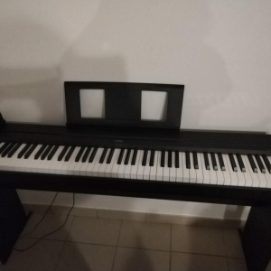 Yamaha p45