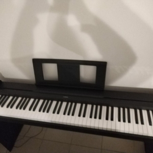 Yamaha p45