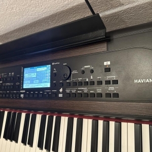 Korg Havian 30