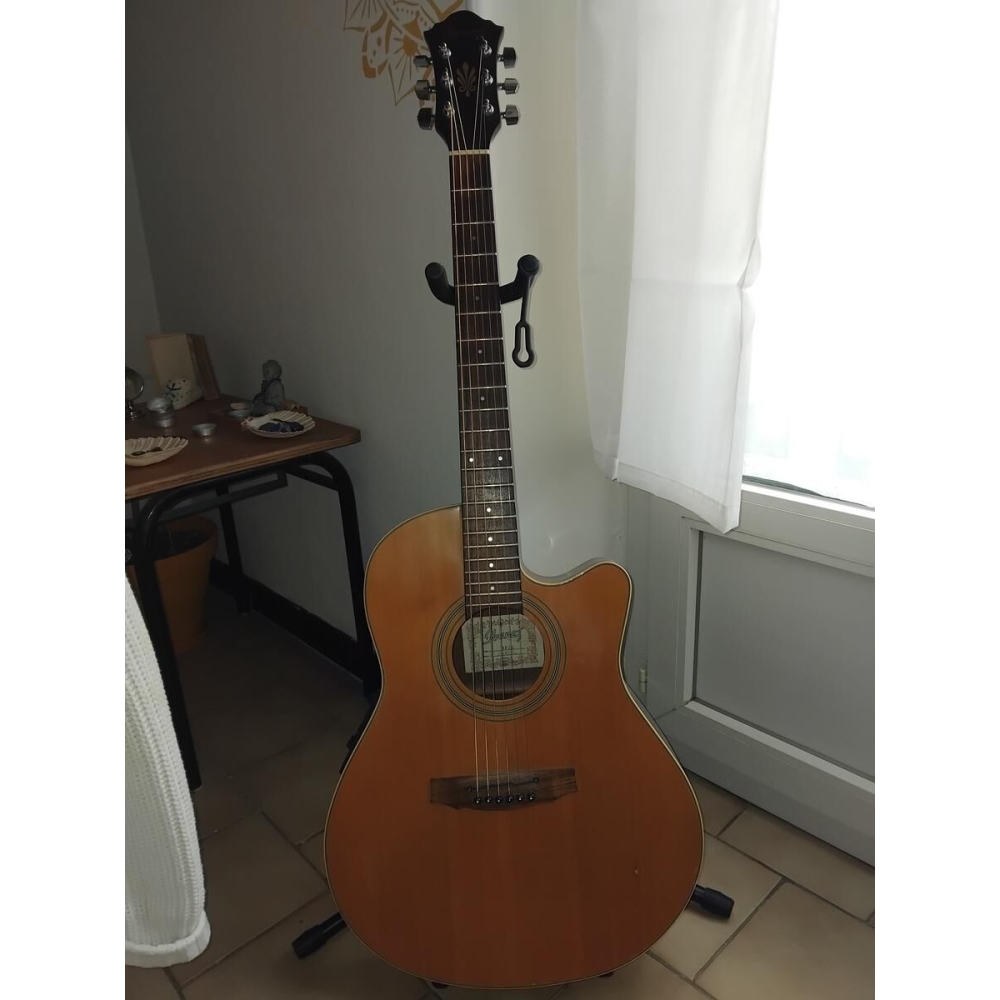 Alvarez guitare électro acoustique