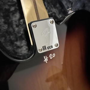 Fender telecaster Christophe par Enki Bilal