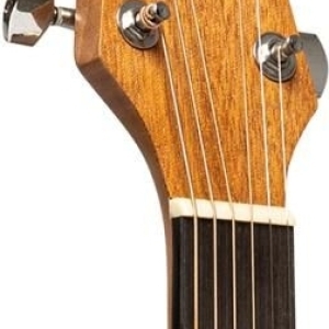 Stagg Sa25 Dce Spruce