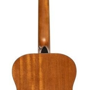 Stagg Sa25 A Spruce