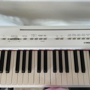 Yamaha p-115