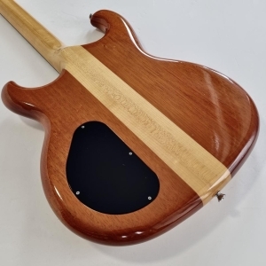 Alembic Spoiler 1987 Natural