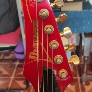 Ibanez PGM 500