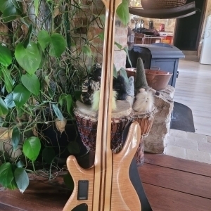 Cort artisan A4 - Basse 4 cordes