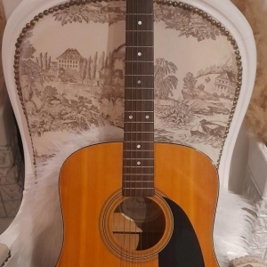 Fender DG-4