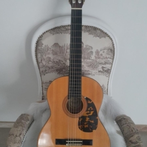 Santana Guitare classique