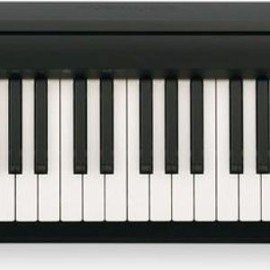 Roland FP-10