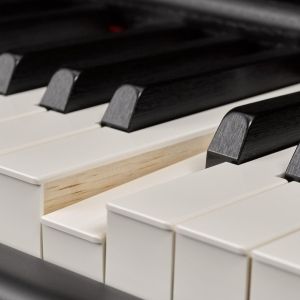 Yamaha P-515B - Black